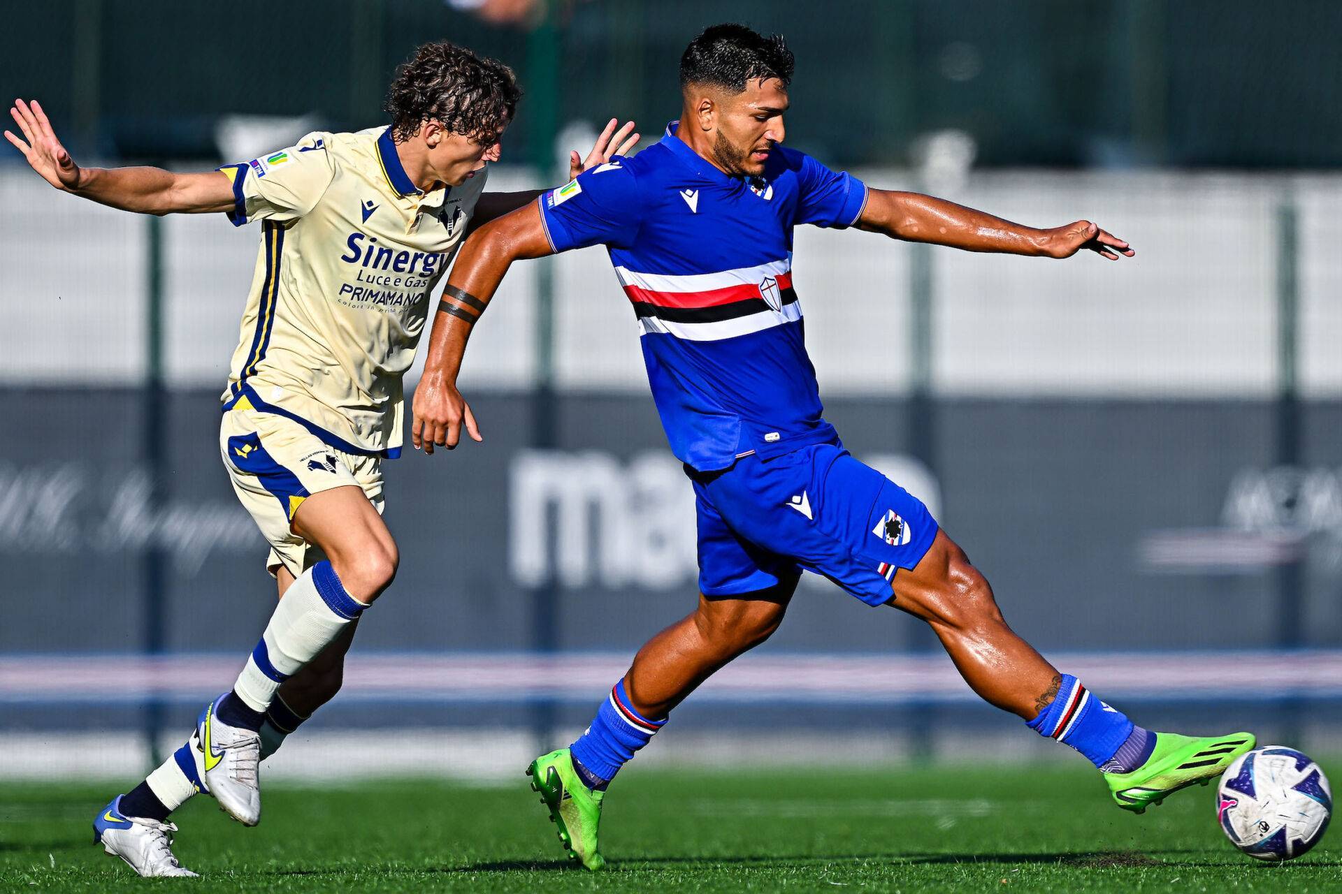 国际比赛日体能课后,尤文图斯止住颓势备战CBA常规赛,目标明确,阵容厚度经受考验 国际比赛日体能课后,尤文图斯止住颓势备战CBA常规赛,目标明确,阵容厚度经受考验